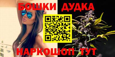 гашик Гатчина