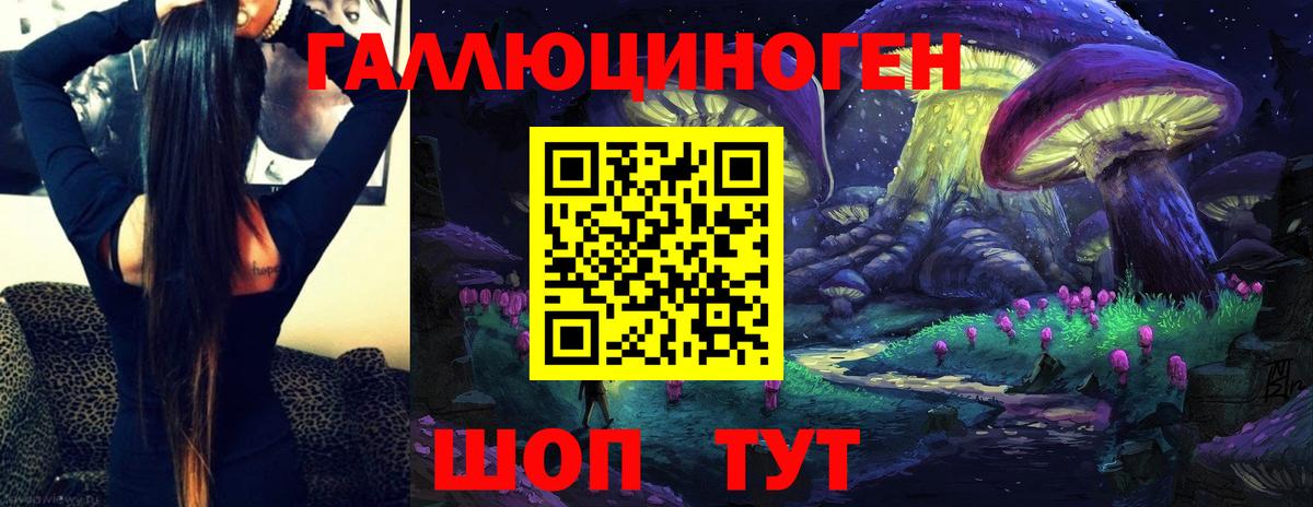 Галлюциногенные грибы Psilocybine cubensis  Вход с VPN  Белгород 